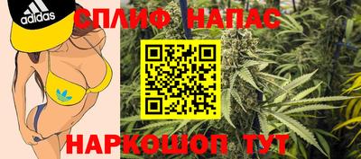 spice Кингисепп