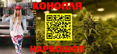 spice Кингисепп