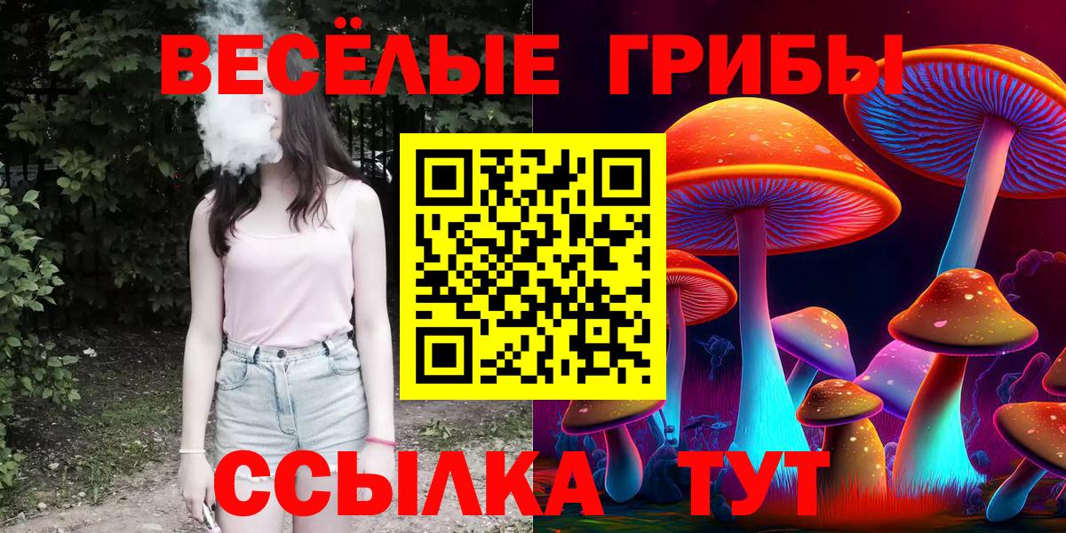 Галлюциногенные грибы мицелий  Вход с VPN  Лесной 