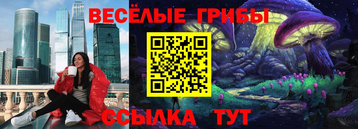 Псилоцибиновые грибы мицелий Лесной